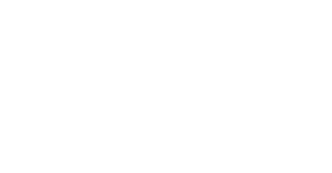 GovNet-Technology-CMYK-Logo-White-Large